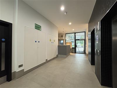 Picture 41